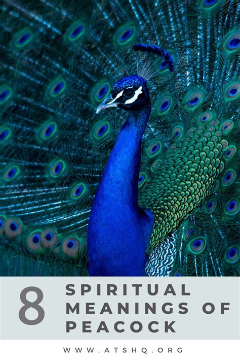 Peacock Symbolism: 8 Spiritual Meanings of Peacock