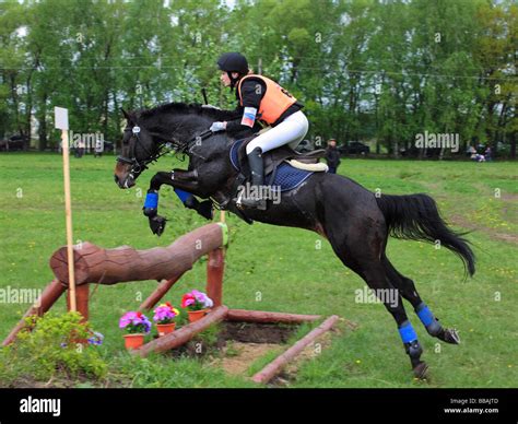 Horse riding competition Stock Photo - Alamy