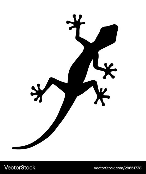 Black gecko lizard silhouette Royalty Free Vector Image