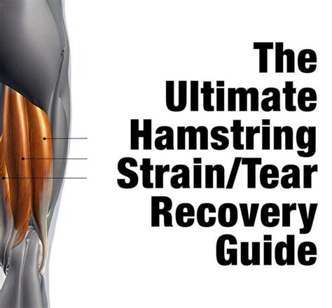 The Ultimate Hamstring Strain / Tear Recovery Guide - Kabuki Coaching and Education | Hamstring ...