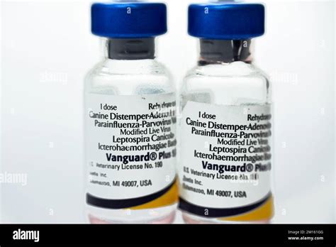 Cairo, Egypt, December 8 2022: Vanguard plus 5 CV-L vaccine for dogs ...