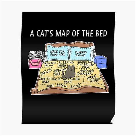 "Cats Map of the Bed Funny Cat gift for Cat owner" Poster for Sale by Mesyo | Redbubble