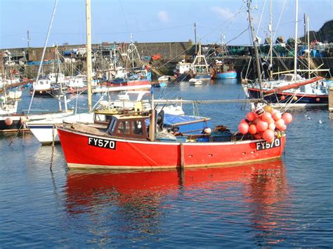 Boat in harbour Free Photo Download | FreeImages