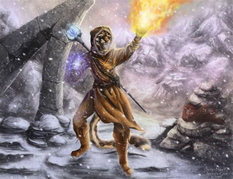 Khajiit Mage - Click to see more photos | Skyrim fanart, Skyrim mage, Skyrim