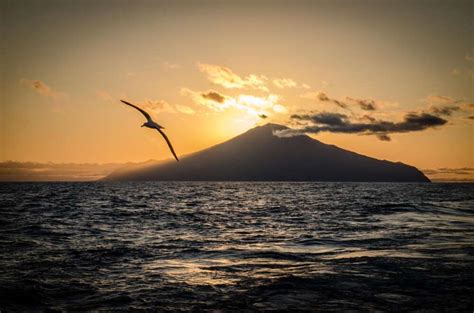 Massive Remote Island To Become One Of The World's Biggest Wildlife Sanctuaries | IFLScience