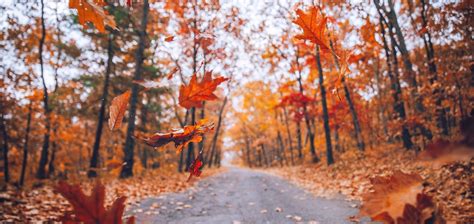 Stunning Fall Photos for Facebook Cover: Capture the Autumn Magic! - Fh ...