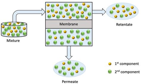 Schematic illustration of pervaporation process | Download Scientific Diagram