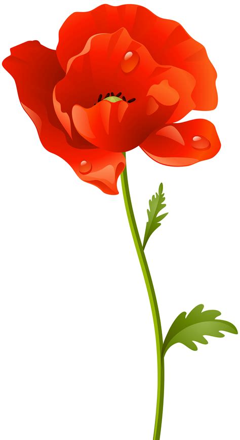 poppy flower clipart png - Clip Art Library