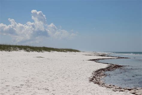 Shell Island Florida- Complete Visitor's Guide! - ALWAYS ON THE SHORE