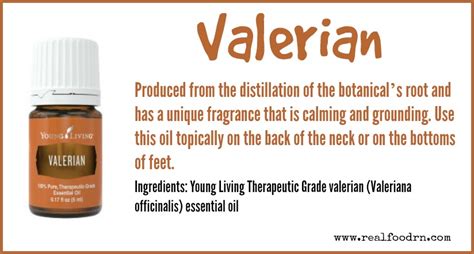 Valerian Essential Oil - Real Food RN