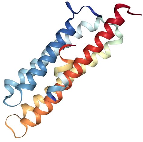 CD4 Protein Overview | Sino Biological