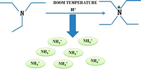 Nh4 Molecule Model