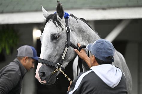 Other Sports: Horse racing-White Abarrio wins Breeders' Cup Classic to ...