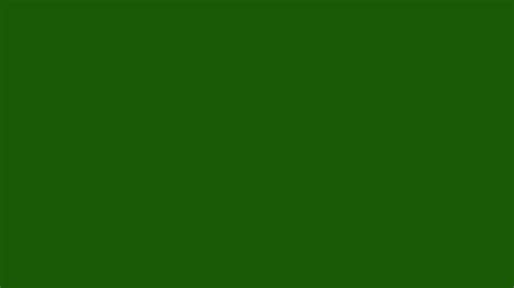 1600x900 Lincoln Green Solid Color Background