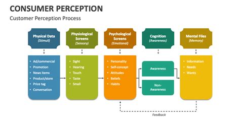 Consumer Perception PowerPoint and Google Slides Template - PPT Slides