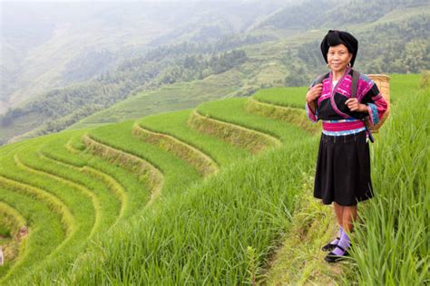 160+ Yao Tribe Guilin Longsheng Indigenous Culture Stock Photos ...