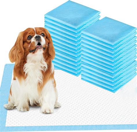 Pet Training Pads Super Absorbent Puppy Dog Training Pads 50 Pack ...