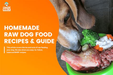 Homemade Raw Dog Food: Easy BARF Diet Recipes [Vet Approved] - Canine Bible