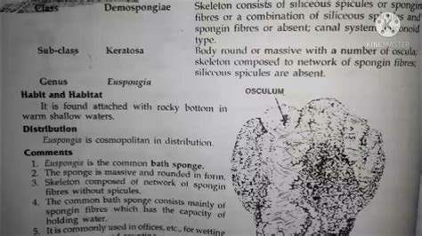 euspongia classification, habitat and comments zoology practical bsc1 best handwritten study ...