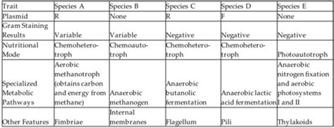 BIO Ch. 27 Archaea and Bacteria. Exam studies Flashcards | Quizlet