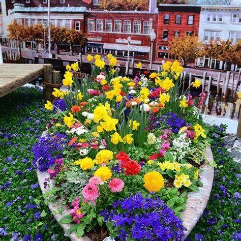 spring-flower-show-2015-4000ms - Homestead Gardens, Inc.