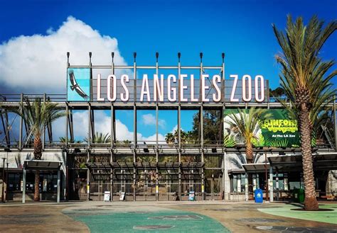 The L.A. Zoo Reopens Today, Here's What You Need To Know - Secret Los Angeles