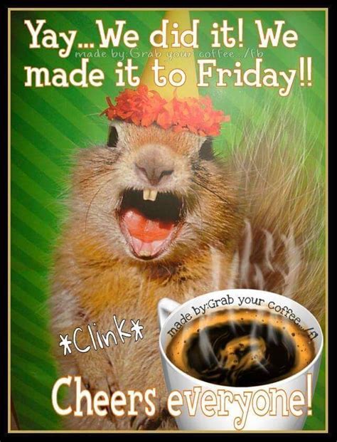 Squirrel meme Friday coffee quote. | Friday coffee, Friday coffee quotes, Friday quotes funny