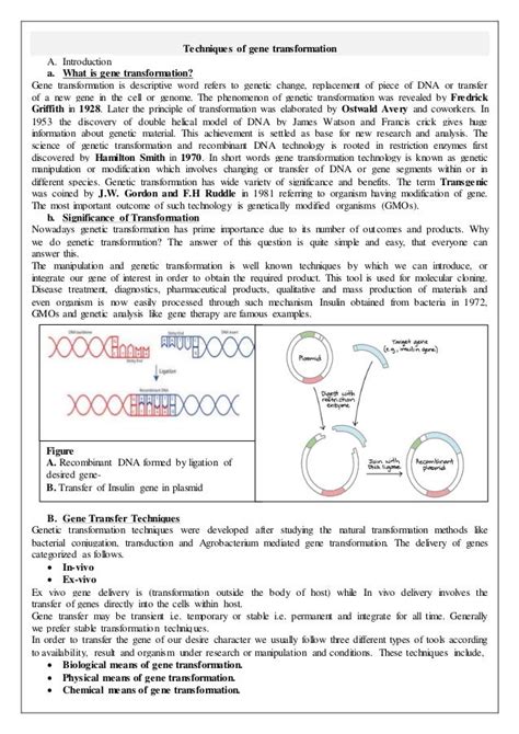 Genetic transformation techniques