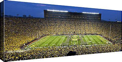 Michigan Wolverines Stadium Panorama - GO BLUE! | eBay