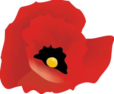 Free Poppy Flower Cliparts, Download Free Poppy Flower Cliparts png images, Free ClipArts on ...