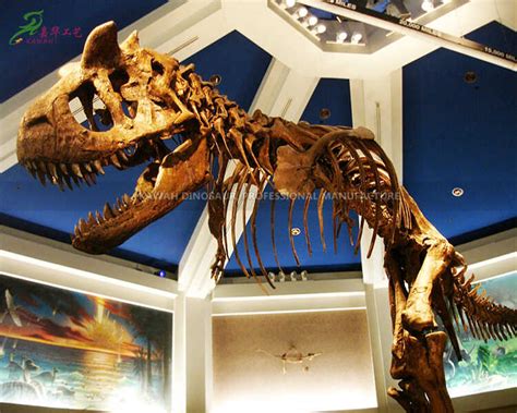 Replica Dinosaur Fossils Animatronic Dinosaur Manufacturer Expert ...