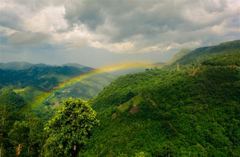 Araku Valley - A Green Slice of Heaven - redBus Blog