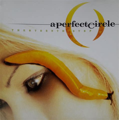 A Perfect Circle - Thirteenth Step (2003, CD) | Discogs