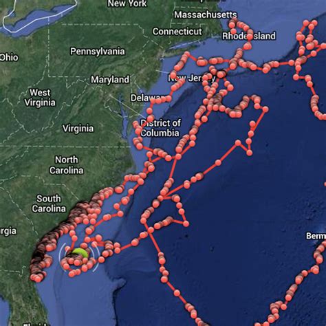 Great White Shark Tracker Map