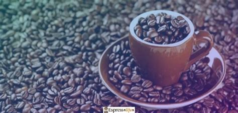 The Flavor Profile of Indian Coffee Beans: A Guide to the Tastes ...