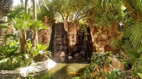 Wildlife Habitat at the Flamingo - Vegas Food & Fun