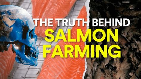 WATCH: The Salmon Farming Industry Doesn't Want You To See This