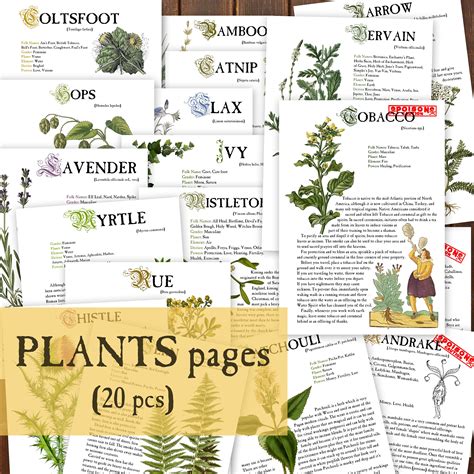 20 PLANTS Herbology Digital Pages for Book of Shadows Herbs | Etsy