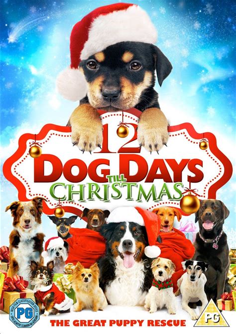 12 Dog Days Till Christmas | Christmas movies, Animated christmas, Couple movie night