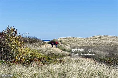 203 Plum Island Beach Stock Photos, High-Res Pictures, and Images ...