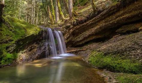 Top 10 Waterfalls to Visit in Fiji