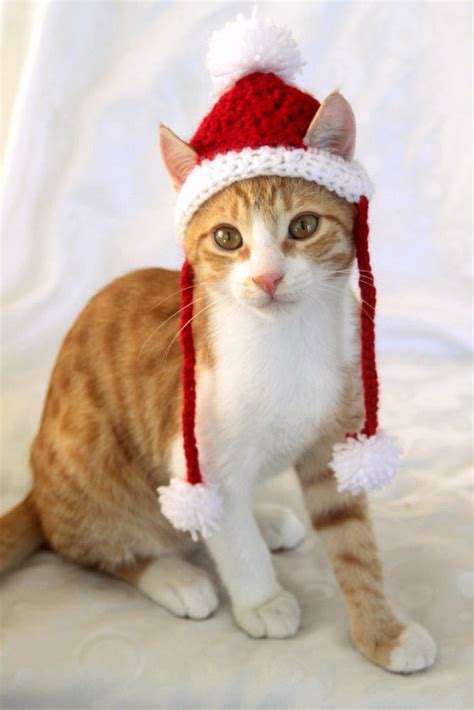 Cat Santa Hat Crochet Pattern Free | Printable Templates Free