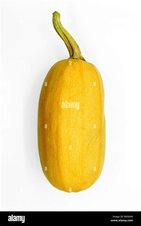 Yellow spaghetti squash isolated on white background Stock Photo - Alamy