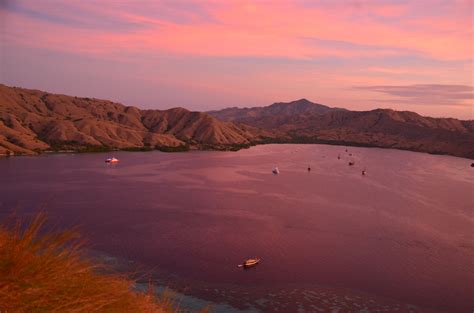 Experience Komodo National Park, Flores Island, Indonesia. | Komodo national park, Island tour ...