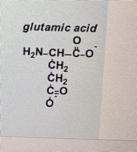 20 amino acid Flashcards | Quizlet