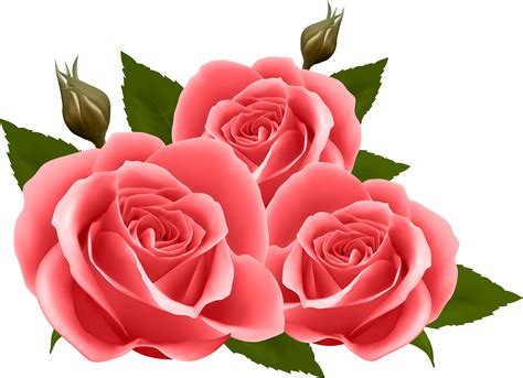 Rose Clipart Rose Clip Art Roses Png | My XXX Hot Girl