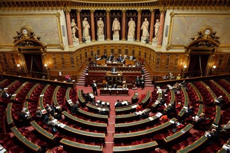 France's upper house urges recognition of Palestine | Middle East Eye