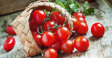 When to harvest cherry tomatoes at peak ripeness for maximum flavor | HappySprout