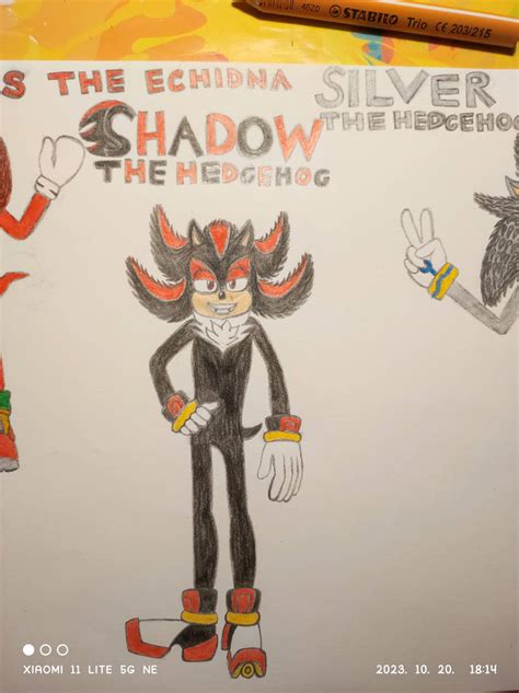 Shadow The Hedgehog Fanart by STH-Fan250 on DeviantArt