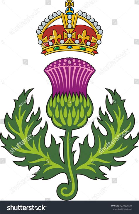 Scottish Thistle Symbol Scotland: vector de stock (libre de regalías ...